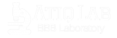 Professor Atiq Lab